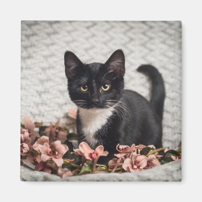 Pretty Bella Rose Magnet (Front)