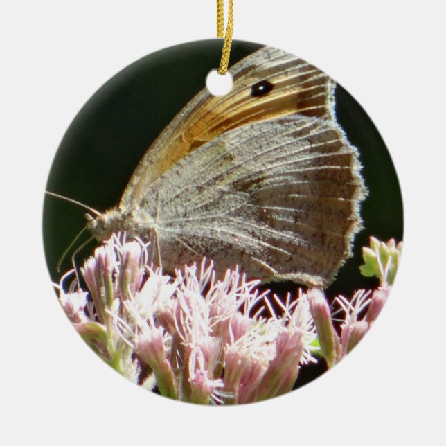 Pretty big butterfly  ceramic ornament (Front)