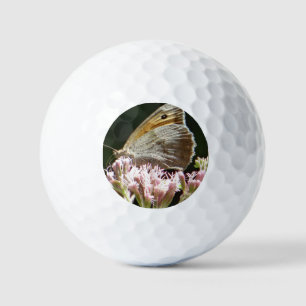 Pretty big butterfly  golf balls