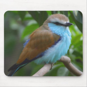 Pretty Bird Mousepad