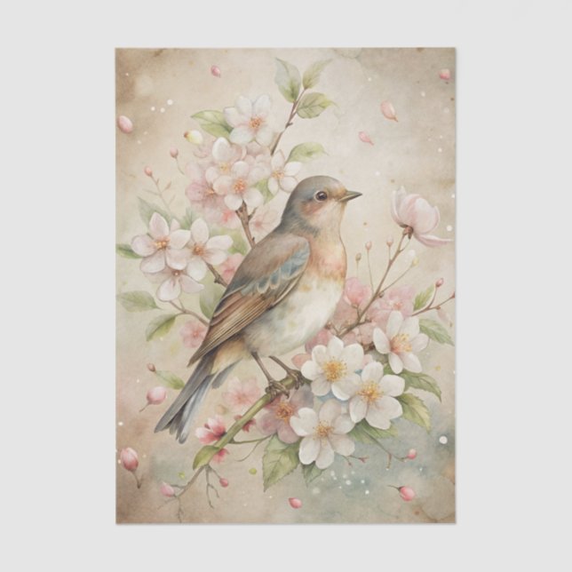 Pretty Bird Perched on White Floral Branch Tissue Paper (Front)