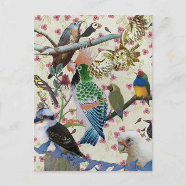 Pretty Birdies Postcard (Front)