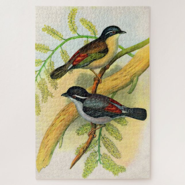 pretty birds print jigsaw puzzle (Vertical)