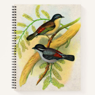 pretty birds print notebook