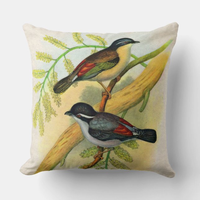 pretty birds print throw pillow (Front)