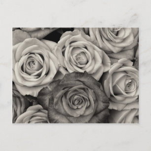Pretty Black and White Roses Bouquet of Flowers Postcard