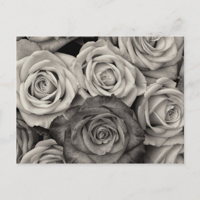 Pretty Black and White Roses Bouquet of Flowers Postcard (Front)