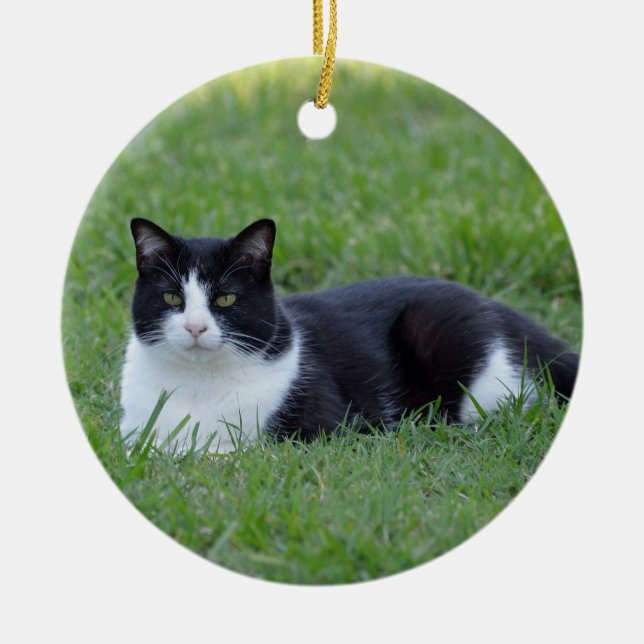 Pretty Black and White Tuxedo Cat Photo Ceramic Ornament (Front)