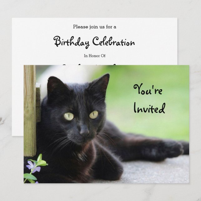 Pretty Black Cat Photo Birthday Invitation (Front/Back)