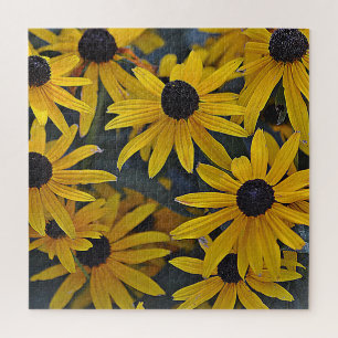 Pretty Black-eyed Susan Jigsaw Puzzle