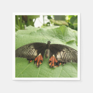 Pretty Black Red and Gold Butterfly Napkins