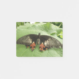 Pretty Black Red and Gold Butterfly Post it notes