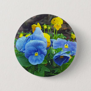 Pretty Blue and Yellow Pansy Floral Photo 2 Inch Round Button