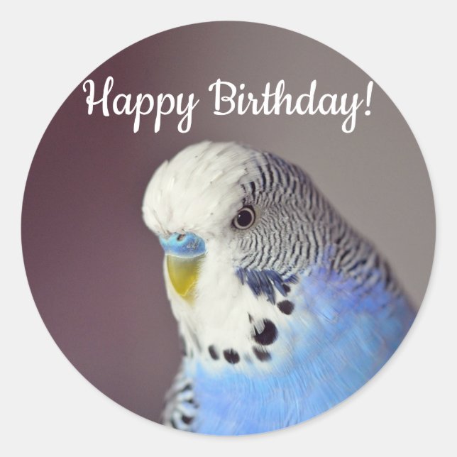 Pretty Blue Budgie Photo Birthday Classic Round Sticker (Front)