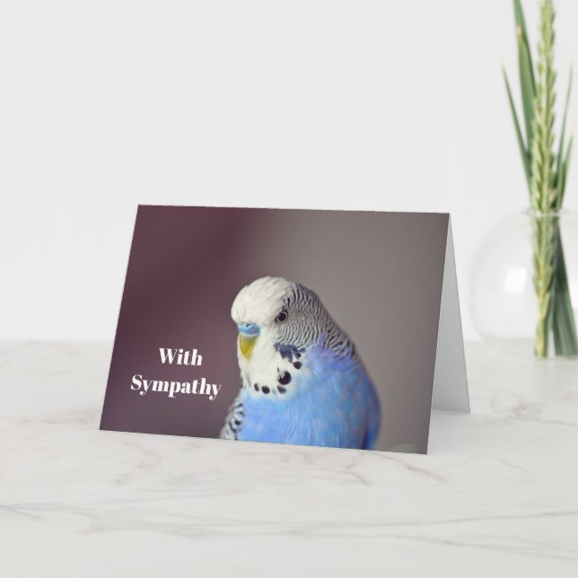 Pretty Blue Budgie Photo Sympathy Card (Front)