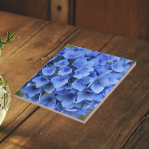 Pretty Blue Hydrangea Bloom Floral Tile