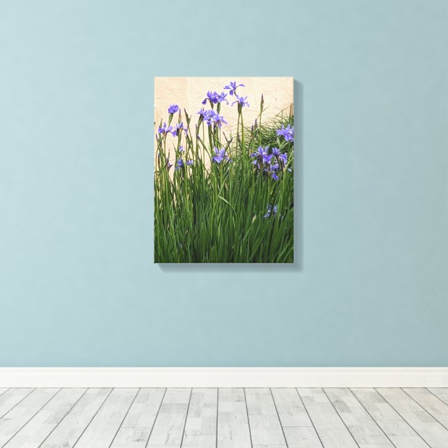 Pretty Blue Irises Floral Canvas Print (Insitu(Wood Floor))