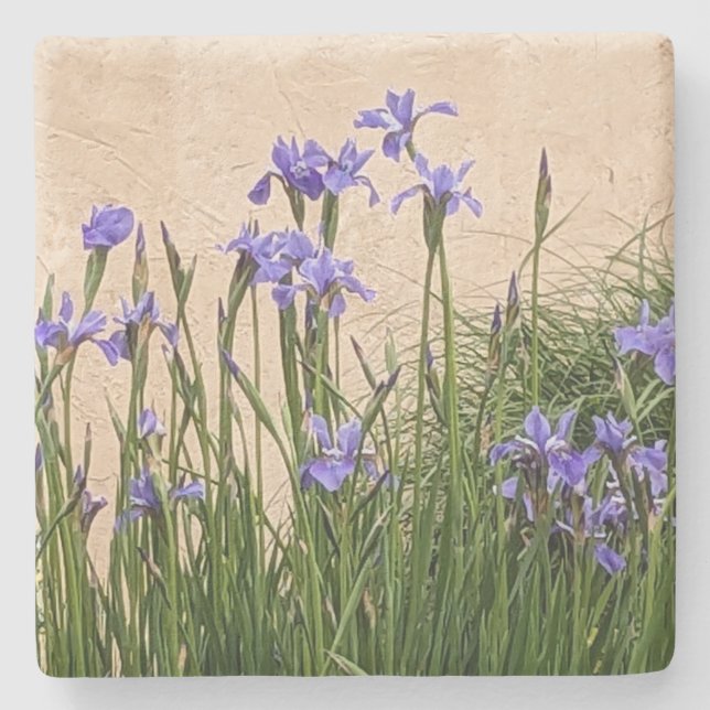 Pretty Blue Irises Floral Stone Coaster (Front)