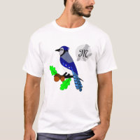 Pretty Blue Jay Bird