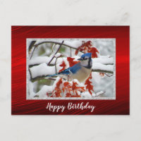 Pretty Blue Jay Snow Photo Birthday