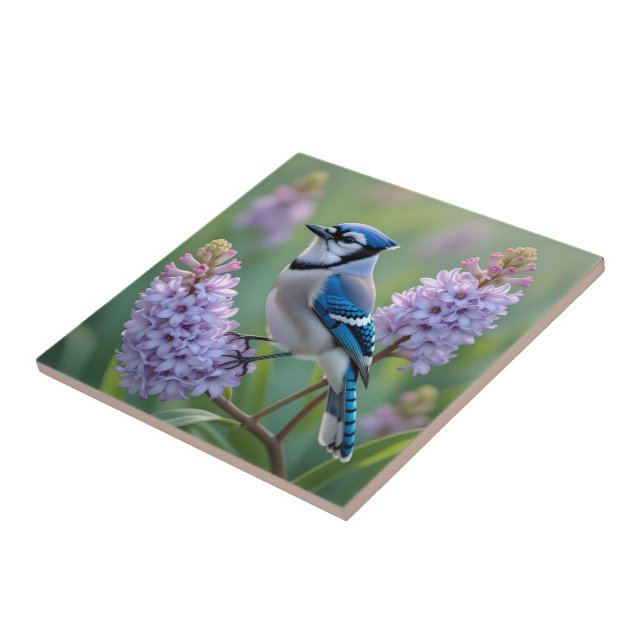 Pretty Blue Jay Standing on Lilac Branches Tile (Side)