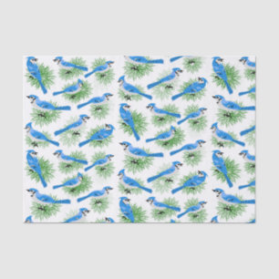 Pretty Blue Jays in Pine Tree unique birds Tissue Paper