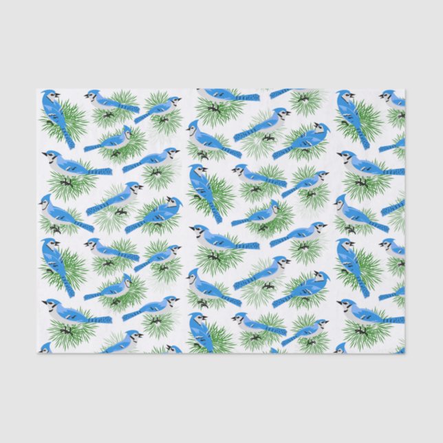Pretty Blue Jays in Pine Tree unique birds Tissue Paper (Front)