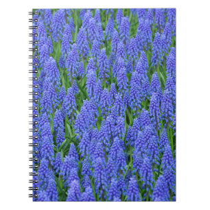 Pretty blue muscari flowers notebook