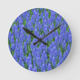 Pretty blue muscari flowers round clock