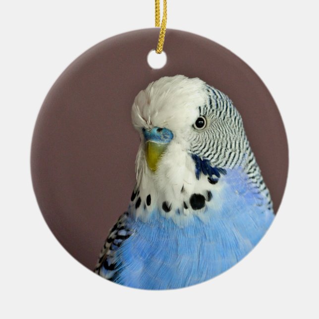 Pretty Blue Parakeet Photo Ceramic Ornament (Front)
