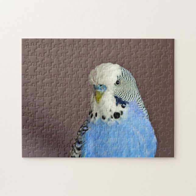 Pretty Blue Parakeet Photo Jigsaw Puzzle (Horizontal)
