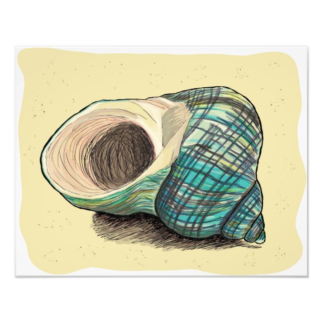 Pretty Blue Shell Photo Print (Front)