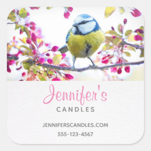 Pretty Blue & Yellow Bird on a Branch Business Square Sticker