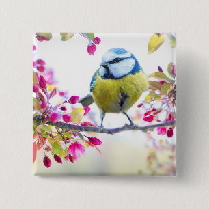 Pretty Blue & Yellow Bird on a Branch Photograph 2 Inch Square Button
