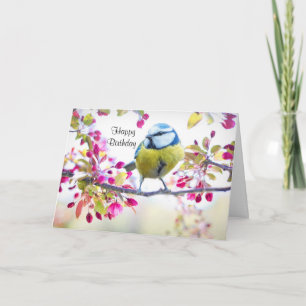 Pretty Blue & Yellow Bird on a Branch Photograph Card