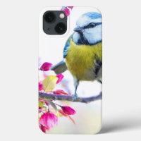 Pretty Blue & Yellow Bird on a Branch Photograph