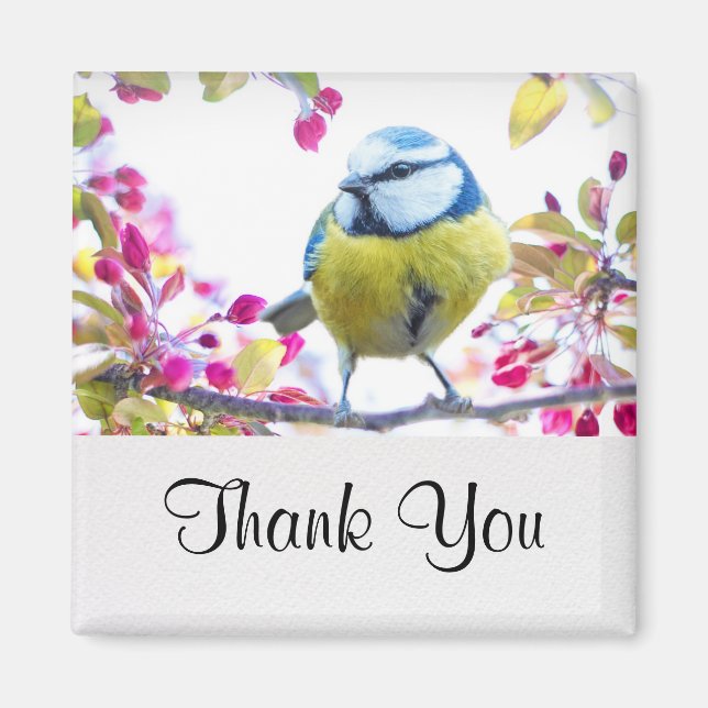  Pretty Blue & Yellow Bird on a Branch Photograph Magnet (Front)