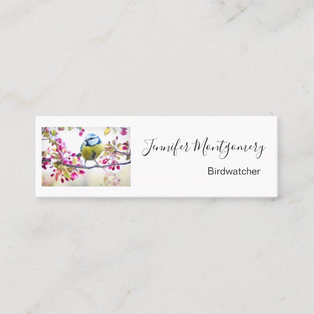 Pretty Blue & Yellow Bird on a Branch Photograph Mini Business Card (Front)