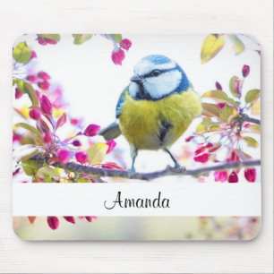 Pretty Blue & Yellow Bird on a Branch Photograph Mouse Pad