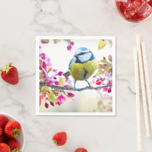 Pretty Blue & Yellow Bird on a Branch Photograph Napkin