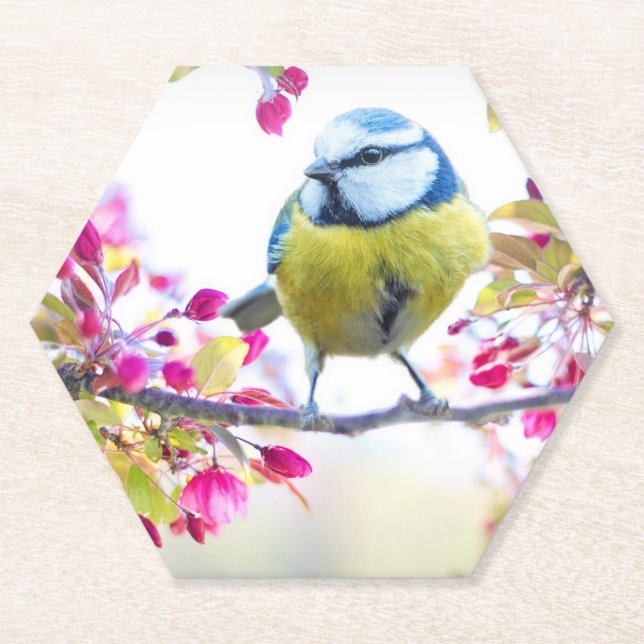 Pretty Blue & Yellow Bird on a Branch Photograph Paper Coaster (Front)