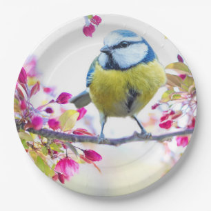 Pretty Blue & Yellow Bird on a Branch Photograph Paper Plate