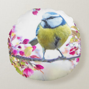 Pretty Blue & Yellow Bird on a Branch Photograph Round Pillow