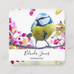 Pretty Blue & Yellow Bird on a Branch Photograph Square Business Card