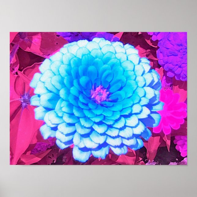 Pretty Blue Zinnia in the Purple Summer Garden Poster (Front)