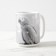 Pretty Bokeh African Grey
