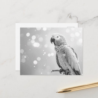 Pretty Bokeh African Grey Postcard