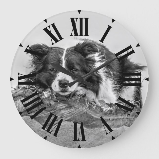 Pretty Border Collie Dog Large Clock (Front)