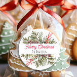 Pretty Botanical Christmas Foliage Classic Round Sticker<br><div class="desc">Pretty watercolor Christmas greenery botanical pine branches and foliage,  personalized holiday stickers. Just add your last name in the personalize area.</div>