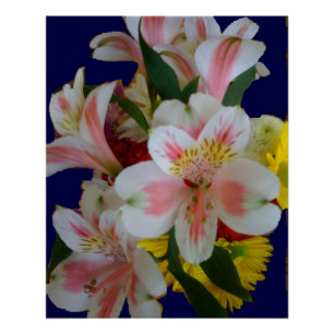 Pretty Bouquet of White and Pink Peruvian Lilies Poster